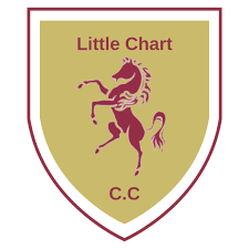 Image result for Great Chart Cricket Club