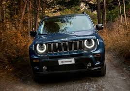 Image result for Teesside Renegades