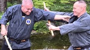 Image result for Inyo Karate Do Ninbukan