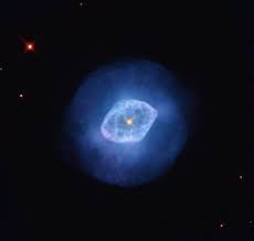 Attēlu rezultāti vaicājumam “Leptophlebia nebulosa”