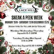 Image result for Buckingham Gymnastics Club