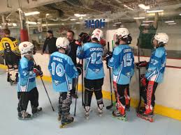 Image result for Vipers Roller Hockey Team