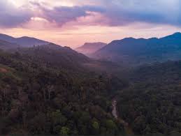 Image result for синхараджа