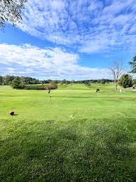 Image result for Flint Golf Club