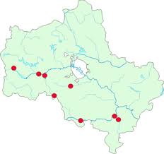 Attēlu rezultāti vaicājumam “Anomodon longifolius”