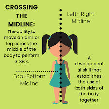 Image result for body midline