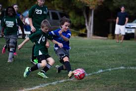 Image result for Thames Ditton Schools Fc