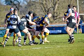 Image result for Sutton & Epsom Rugby Football Club