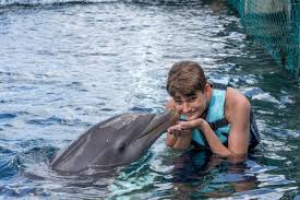 Image result for Dolphins Sheltered & Disabled Swim Club