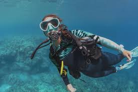 Image result for Seabug Divers