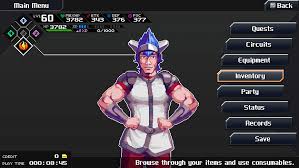 Image result for CrossCode