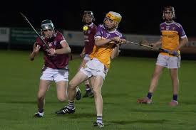 Image result for Cheltenham and County Harriers