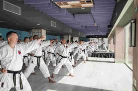 Image result for Maidenhead Karate Club