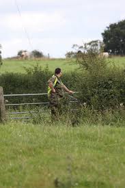 Image result for Okami Airsoft Club