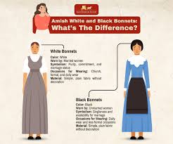 Image result for amish dress