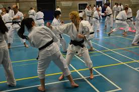 Image result for Durham University Shorinji Kempo Society Club