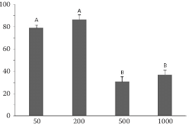 Attēlu rezultāti vaicājumam “Lasioptera rubi larva”