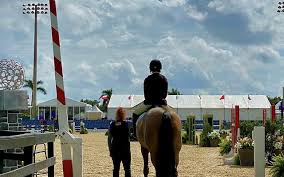 Image result for Fisher Equestrian