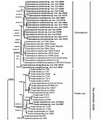 Attēlu rezultāti vaicājumam “Postia rennyi”