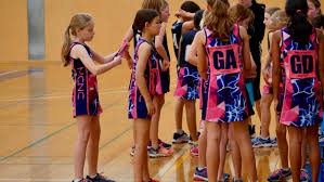 Image result for Wyvern Ladies Netball Club