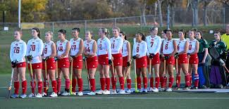 Image result for York University Hockey Club