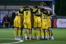 Image result for Needham Market Football Club