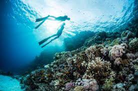 Image result for Bath Freediving Club