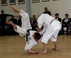 Image result for GoJu-Kai Karate Club