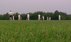 Image result for Hatfield Hyde Cricket Club