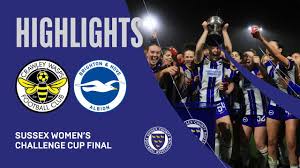 Image result for Wasps Football Club