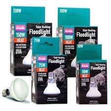 Risultati immagini per arcadia basking solar flood