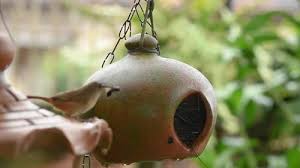 Attēlu rezultāti vaicājumam “Troglodytes troglodytes nest”