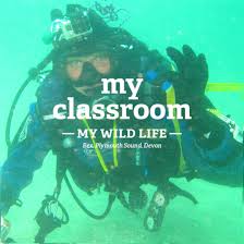 Image result for Plymouth Aquanauts