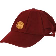 Image result for Marnhull Cricket Club