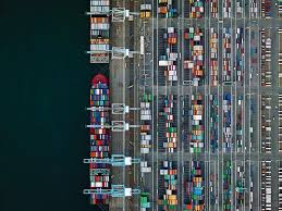 Image result for Jeffrey Milstein