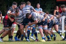 Image result for Rochford Hundred Rugby Club