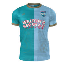 Image result for Walton & Hersham Football Club