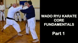 Image result for Karate Wado Kai