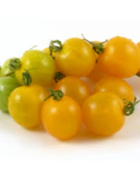 Afbeeldingsresultaat voor broad ripple yellow currant tomato