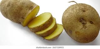 Attēlu rezultāti vaicājumam “Solanum tuberosum”