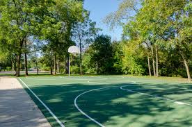 Image result for Westleigh Basketball Club