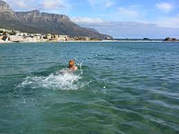 Image result for Bournemouth Spartans Winter Sea Swimming Club