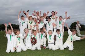 Image result for Capel Cricket Club