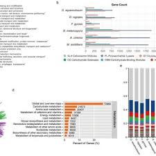 Attēlu rezultāti vaicājumam “Claustria didermoides”
