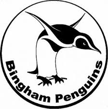 Image result for Grimsby Penguins Swimming Club