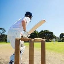 Image result for Benfleet Cricket & Social Club
