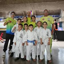 Image result for Sandokai Karate