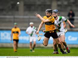 Image result for Rostrevor Hurling Club