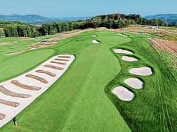 Image result for Chapel Tri-Stars Junior Tri Club