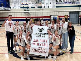 Image result for Cheltenham Cobras Volleyball Club